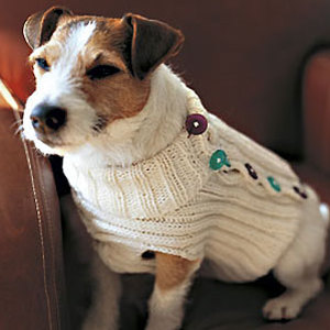 Dog sweater to knit - Projects for your pets - Craft - allaboutyou.com