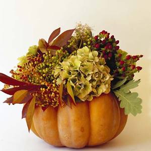 PP Make a floral arrangement in a pumpkin - Flower arranging - Craft - allaboutyou.com