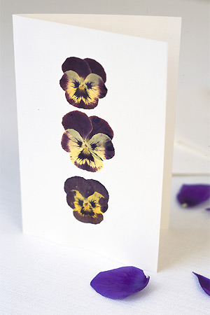 PP card made with three pressed pansy flowers - Make a pressed-flower card, ideal for  Mother's Day - Craft - allaboutyou.com