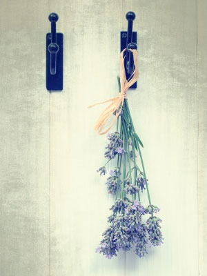 A bunch of dried lavender - How to dry lavender - Craft - allaboutyou.com