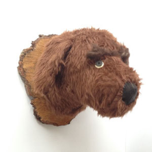 Dog head main image - Make a wall-mounted dog's head - Craft - allaboutyou.com