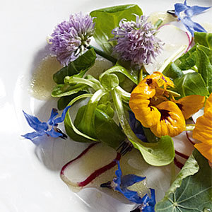 Edible flower salad recipe - edible flower recipes - food and UK recipes - allaboutyou.com