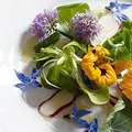 Edible flower salad recipe - edible flower recipes - food and UK recipes - allaboutyou.com
