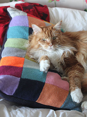 Cat knitted cushion - Knit a tension square pet bed - free knitting patterns - craft - allaboutyou.com