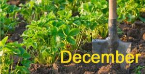 spade in soil, plus 'December' text - Gardening jobs this month: December - Craft - allaboutyou.com
