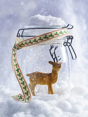 123 reindeer in jar - Christmas craft ideas: reindeer - Craft - allaboutyou.com