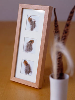 Make a framed feather picture - Home makes - Craft - allaboutyou.com