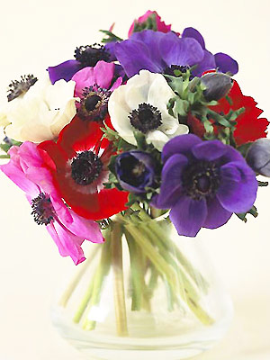 PP anemones in vase - Three ways with anemones - Flower arranging - Craft - allaboutyou.com