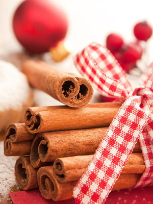 Cinnamon sticks tied with ribbon - Christmas decoration - Scented Christmas decorations to make - Craft - allaboutyou.com