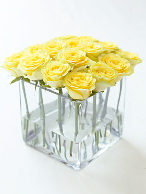 PP yellow roses in square glass vase - How to arrange roses in a square glass vase - Flower arranging - Craft - allaboutyou.com