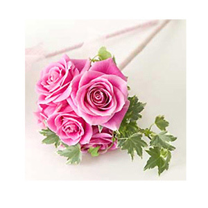 PP rose wedding posy to make - Wedding flowers: pretty rose posies to make - Craft - allaboutyou.com