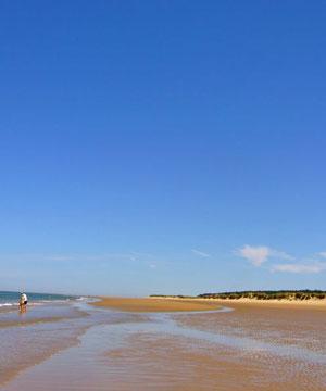 123 Holkham Bay, Norfolk - Take a coastal walk - Country & travel - allaboutyou.com