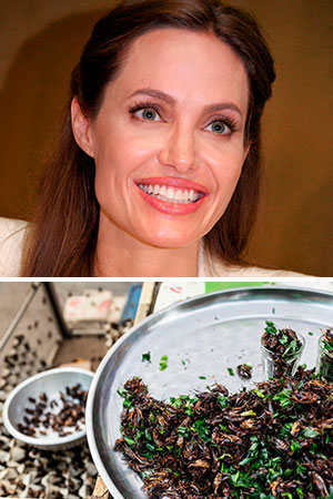 Angelina Jolie, fried crickets  - Celebrity diets: secret snacks of the stars - Diet & wellbeing - allaboutyou.com